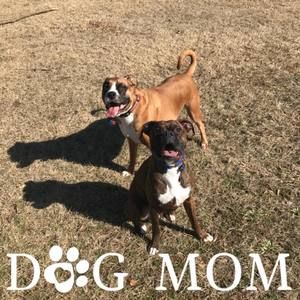 Meet your Posher, Lesley